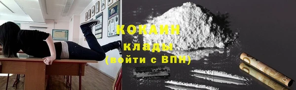 гашик Алексеевка