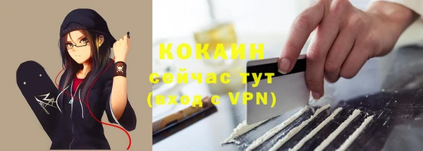 сатива Дмитриев