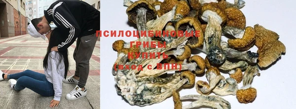 гашик Алексеевка